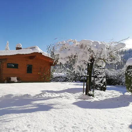 - Urlaub Bei Freunden * Wagrain
